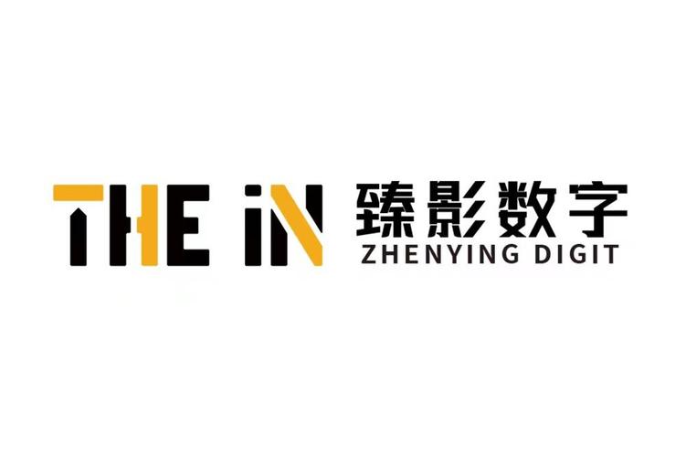 数据驱动未来 湖南臻影数字科技的数据处理之道