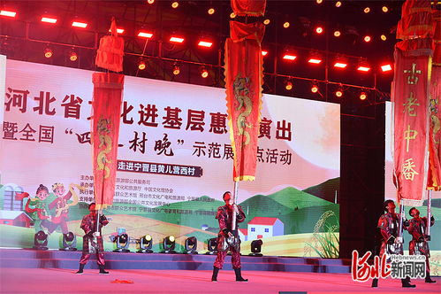 全国春季村晚示范展示活动在宁晋县黄儿营西村成功举办