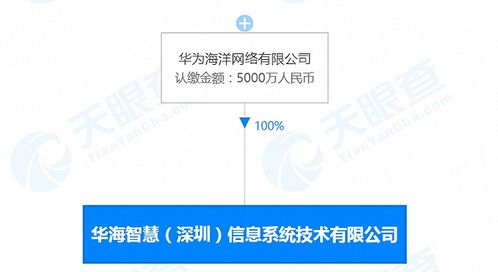 华为海洋深圳新公司成立，深耕数据处理领域